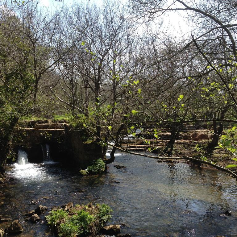 Trisileja En Puente Romano Toñanes Esterno foto